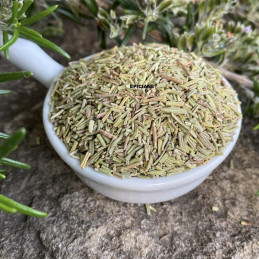 * véritable thym 200 graines herbes Graines herbes de provence à épices plante