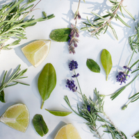 Aromates frais : découvrez notre sélection d'herbes fraîches.
