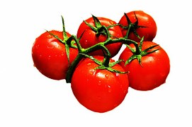 Tomate séchée en poudre